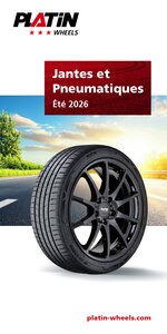 Flyer PLATIN