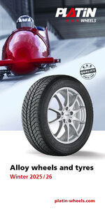 PLATIN Flyer