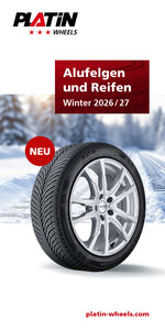 PLATIN Flyer