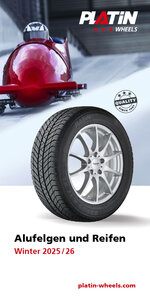 PLATIN Flyer