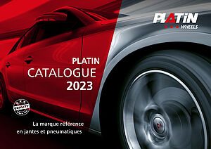 Programme PLATIN